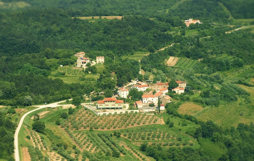 B&B al Merlo Olivo Buje Exterior foto
