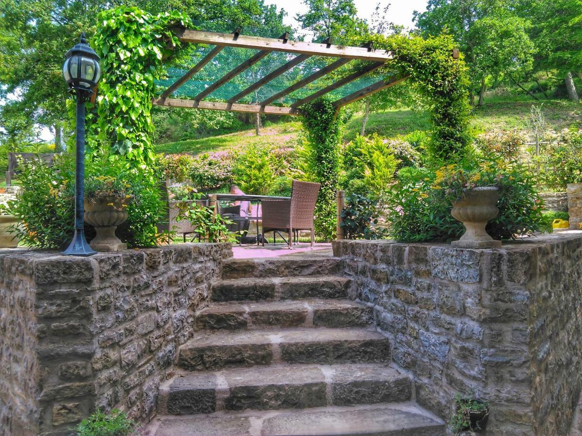 B&B al Merlo Olivo Buje Exterior foto