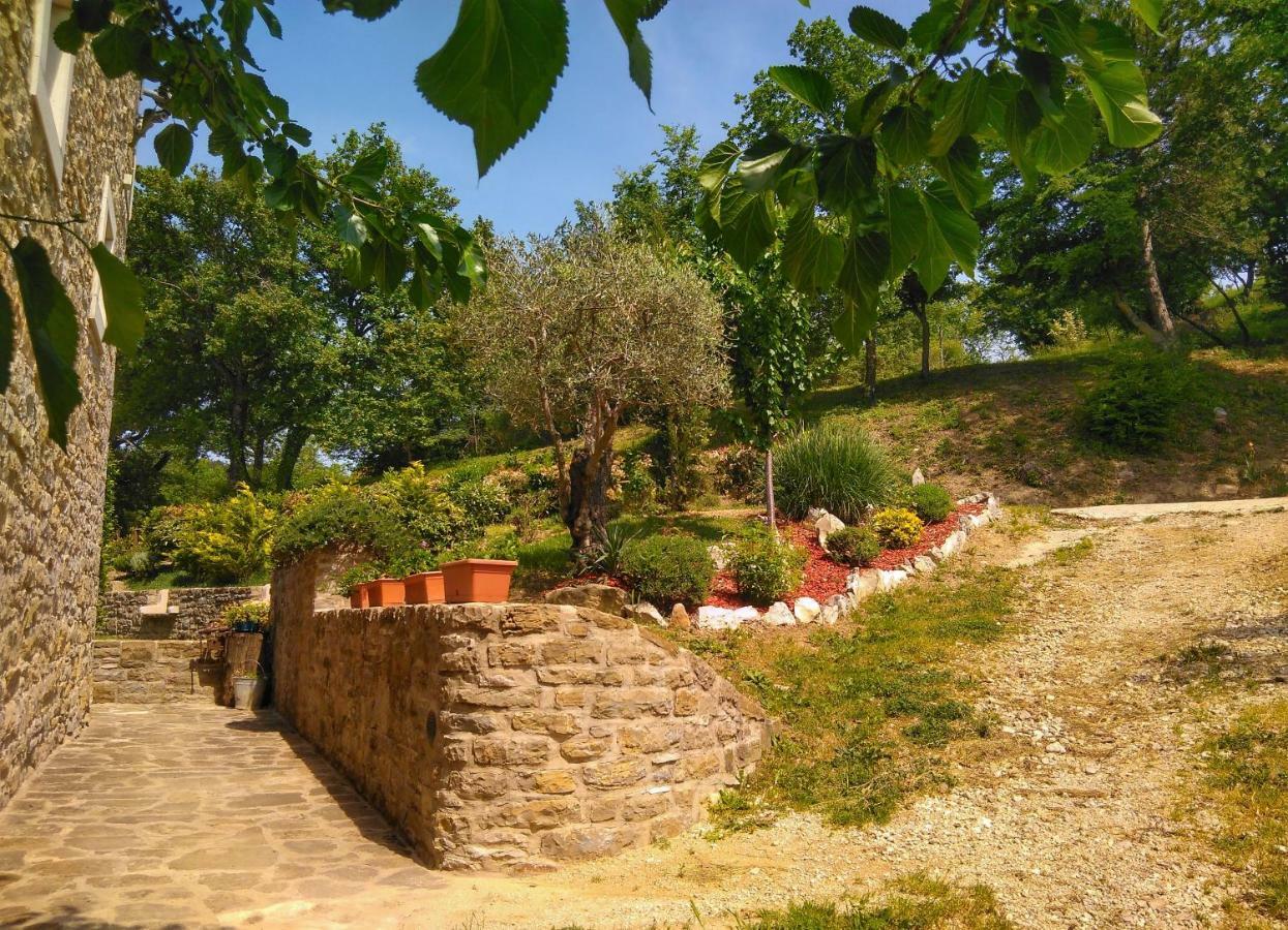 B&B al Merlo Olivo Buje Exterior foto